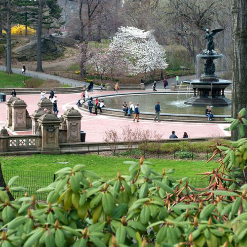 اصول و ضوابط طراحی پارک | استاندارد های فضای سبز شهری